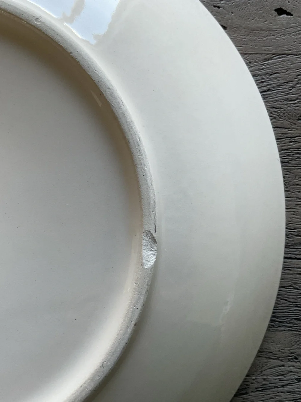 Williams-Sonoma Discontinued Les Legumes Series Pasta Salad  Bowl